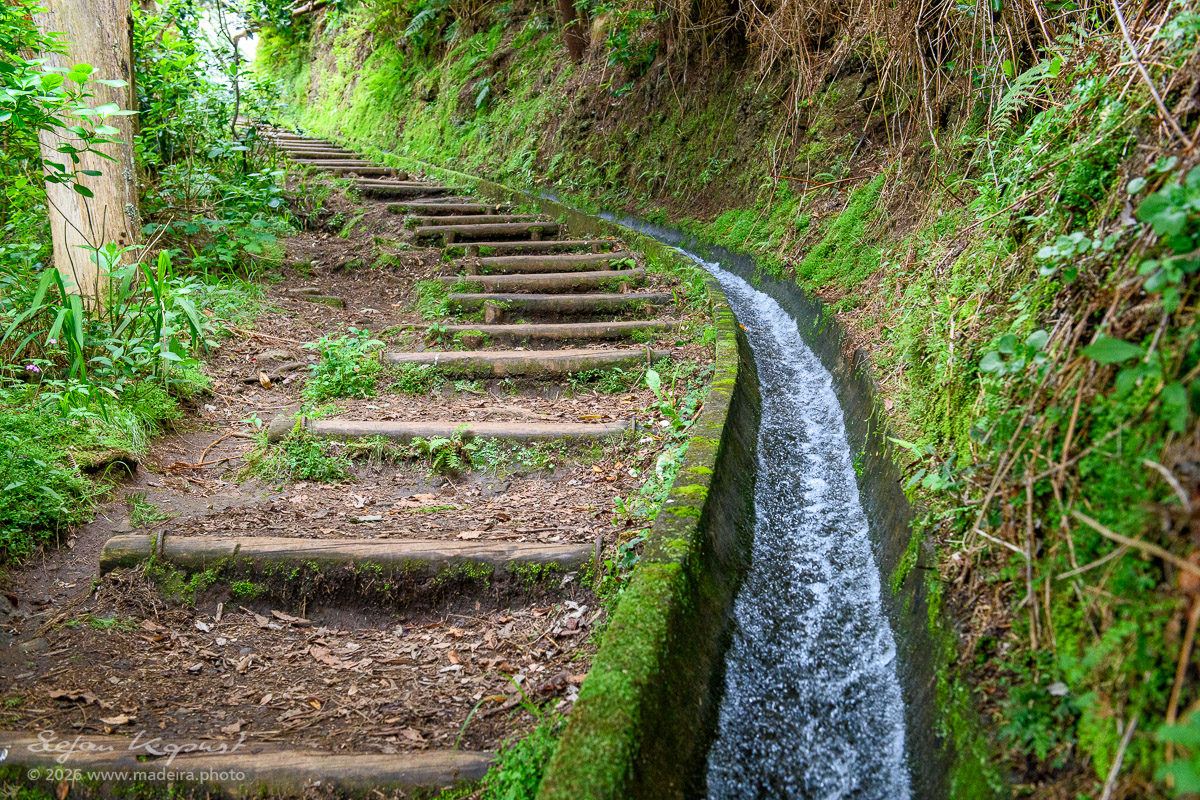 Wandern entlang der Levadas auf Madeira