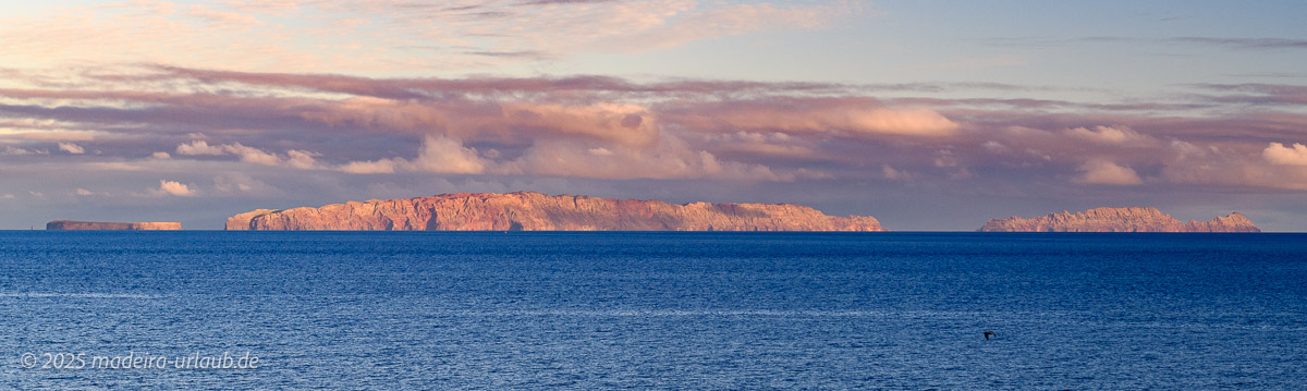 Stacks Image 368