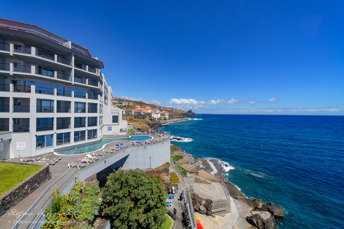 Royal Orchid an der Felsküste von Caniço de Baixo